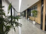 公司环境